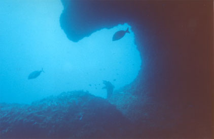 Grotte du dauphin